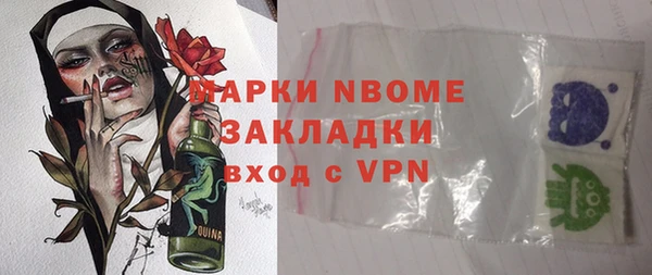 молекула духа Богданович