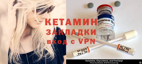 молекула духа Богданович