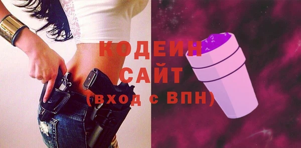 молекула духа Богданович