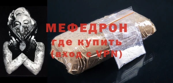 молекула духа Богородицк