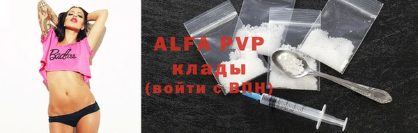 молекула духа Богданович