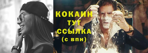молекула духа Богородицк