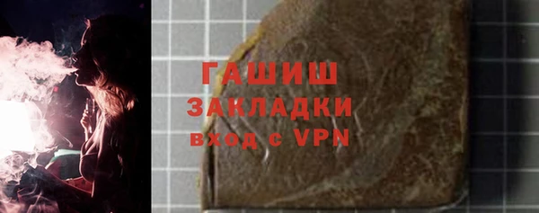 молекула духа Богородицк