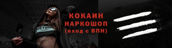 молекула духа Богданович
