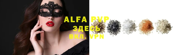 молекула духа Богородицк