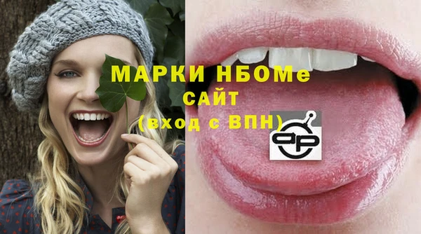 молекула духа Богданович