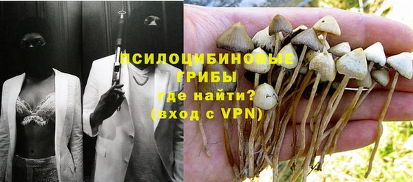 молекула духа Богданович