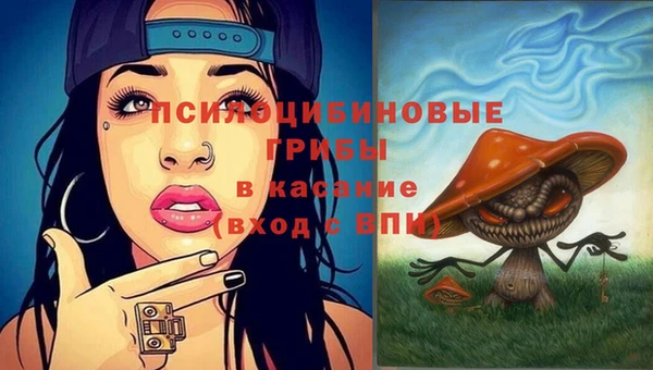 марки nbome Дедовск