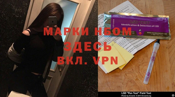 молекула духа Богородицк