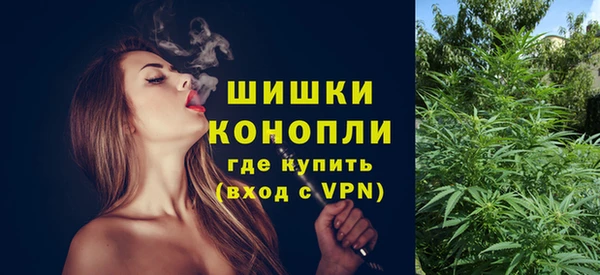 молекула духа Богородицк