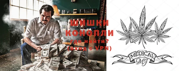 молекула духа Богданович