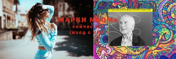 молекула духа Богданович