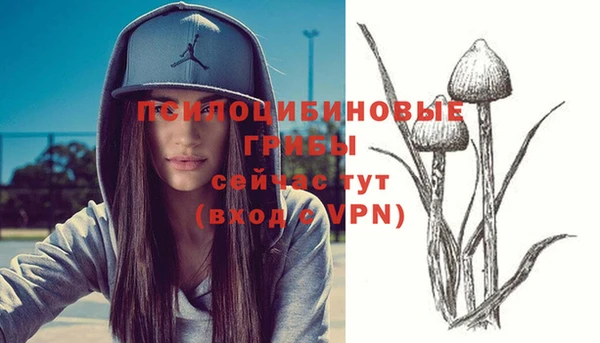 молекула духа Богородицк