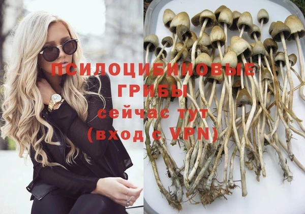молекула духа Богданович