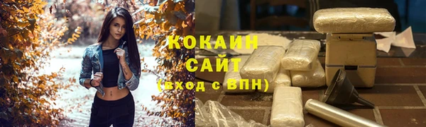 молекула духа Богородицк