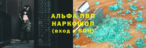 молекула духа Богданович