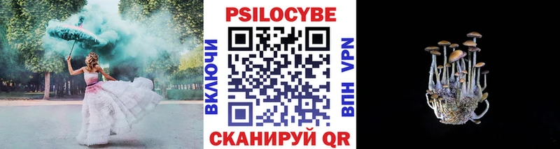 Галлюциногенные грибы Psilocybine cubensis  Гай 