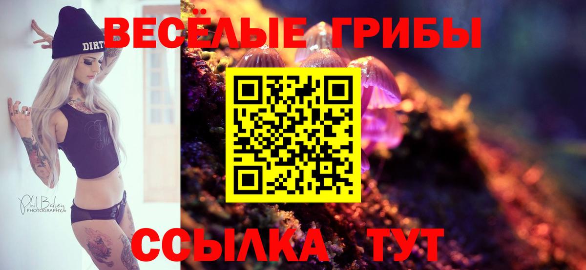 Галлюциногенные грибы Psilocybine cubensis  Вход с VPN  Гай 