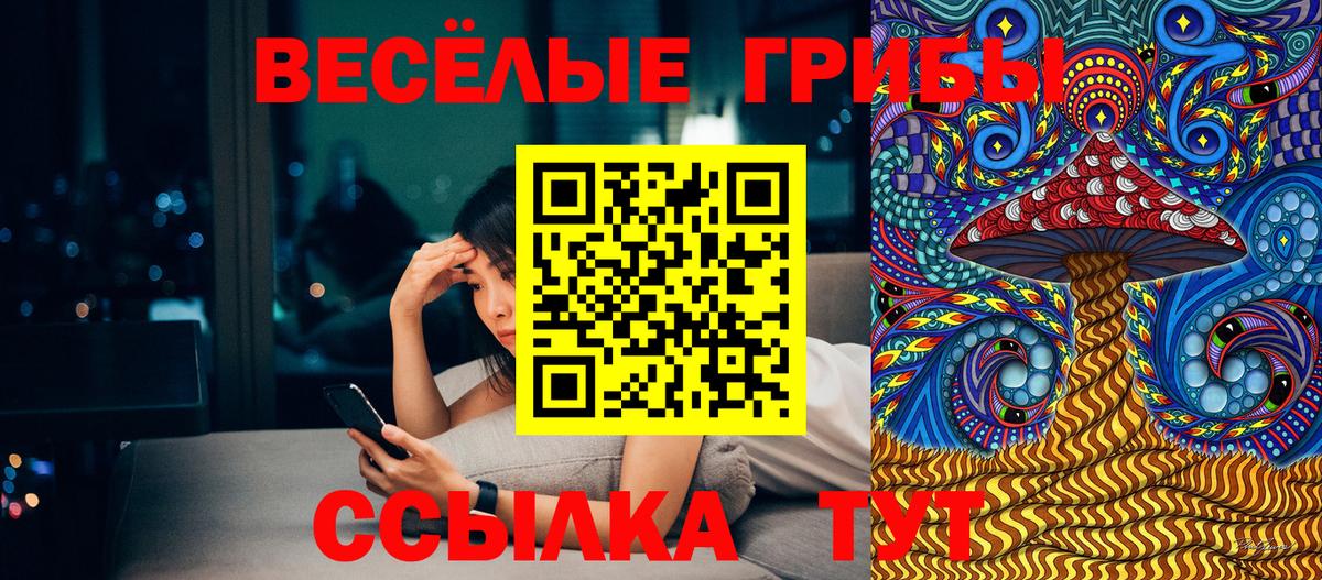 Галлюциногенные грибы Cubensis Гай